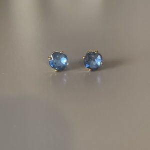 Blue Jewel Stud Earrings